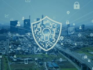 حلول الشبكات وتأمين السيرفرات